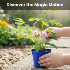 Mini flower pots included in the TickleMe Plant kit