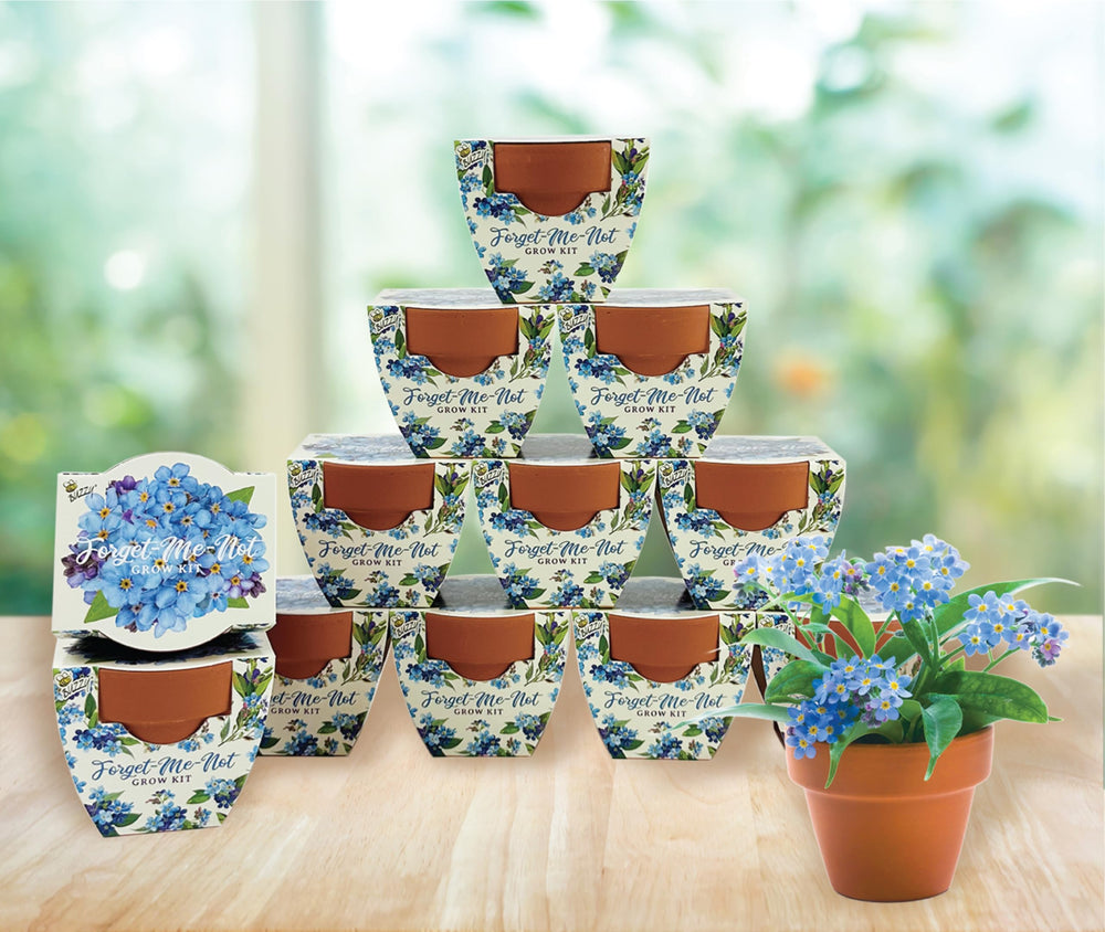 Mini garden setup with BUZZY Forget-Me-Not Grow Kit