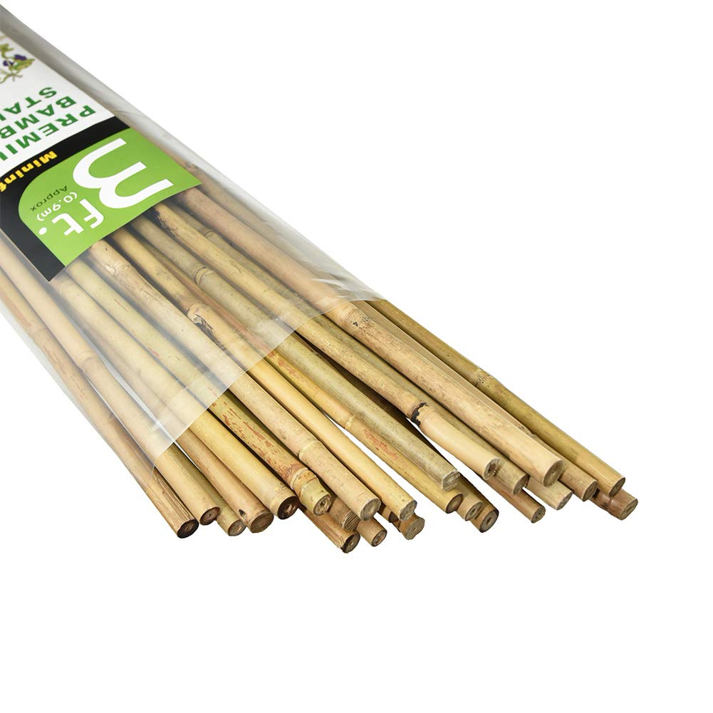 Mininfa bamboo stakes 3 feet pack of 25 natural color