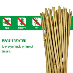 Mininfa Bamboo Stakes installed in garden supporting plants