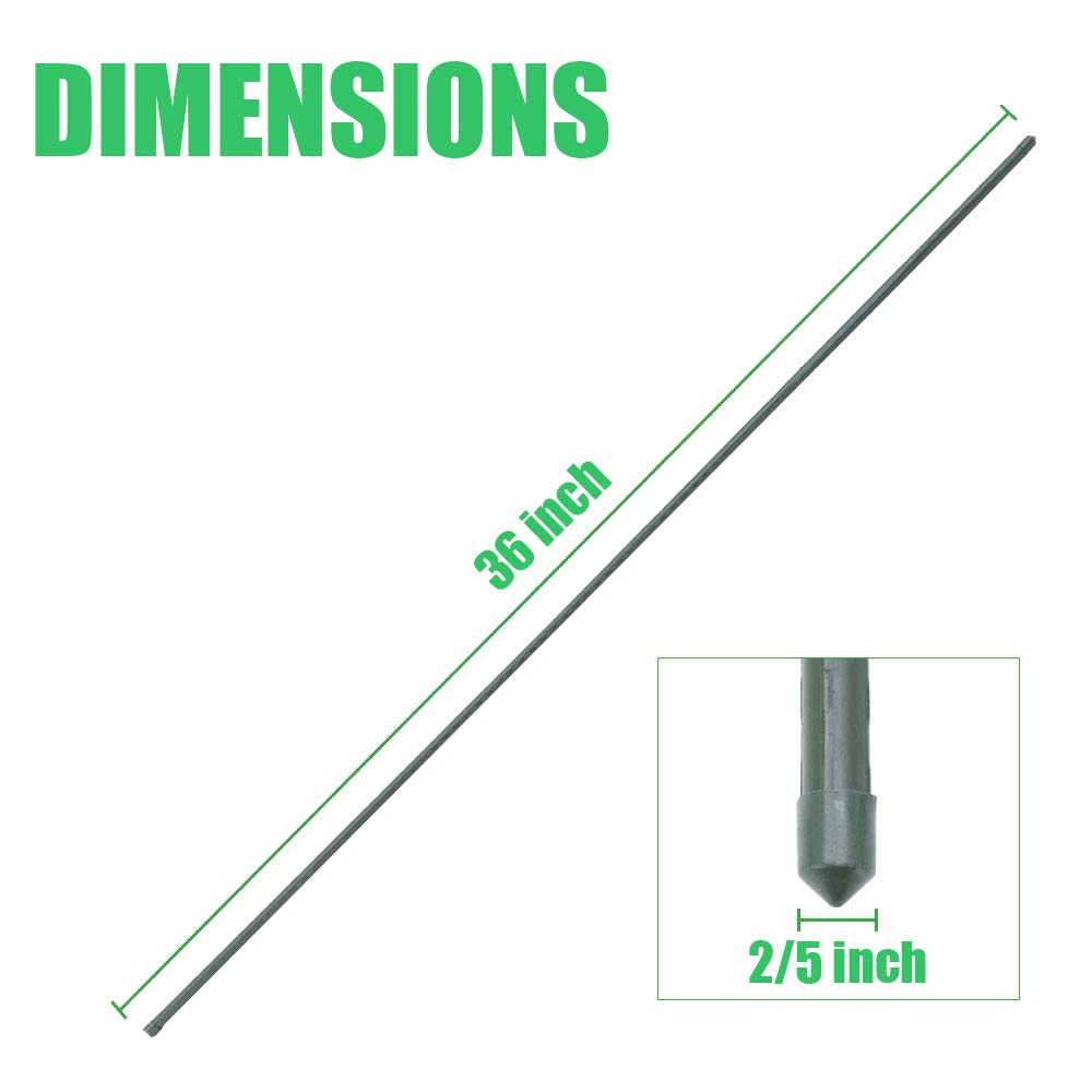 Mininfa Steel Plant Stakes supporting climbing tomatoes