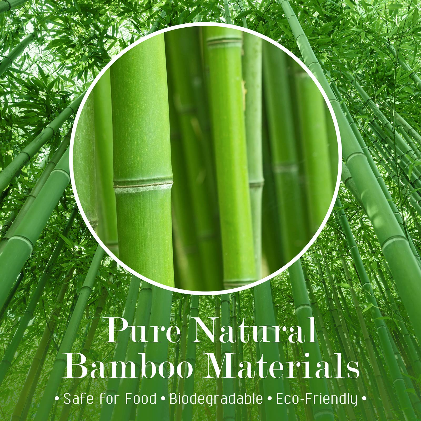 Minisland Bamboo Paddle Skewers 4.7 inch close-up of paddle end