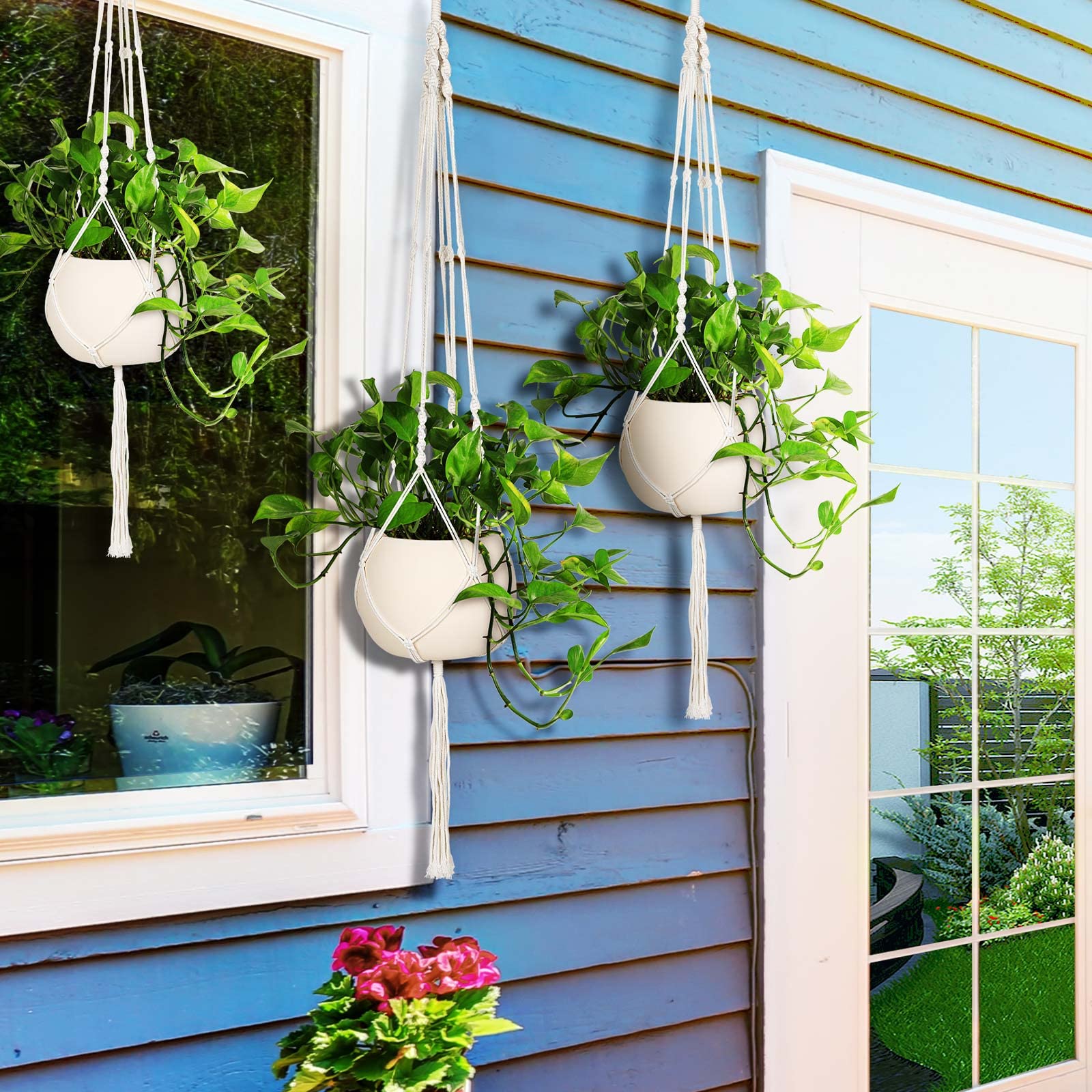 MIPON macrame plant hangers in different lengths on wall