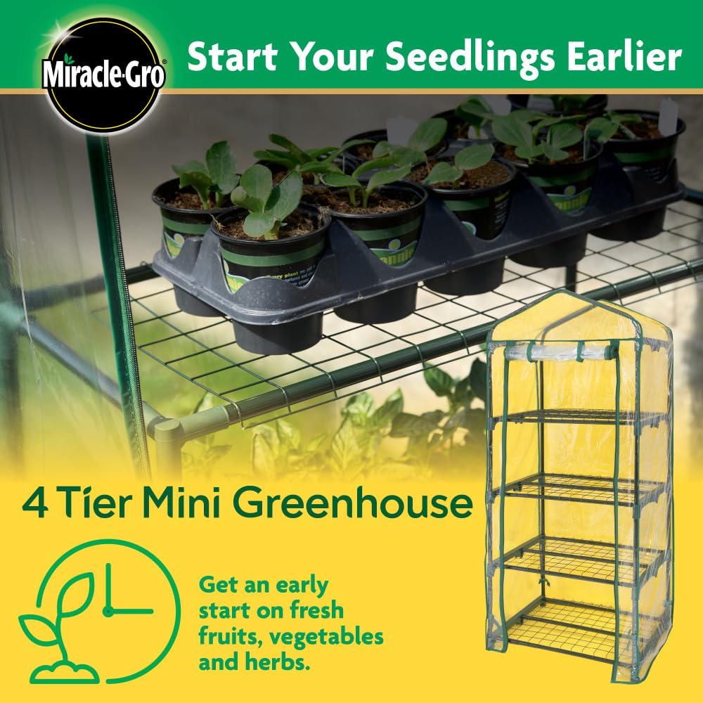 Miracle-Gro 4-Tier Greenhouse set up on a patio