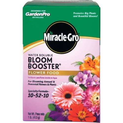 Miracle-Gro Bloom support Flower Food 1 lb liquid fertilizer pouring into a watering can