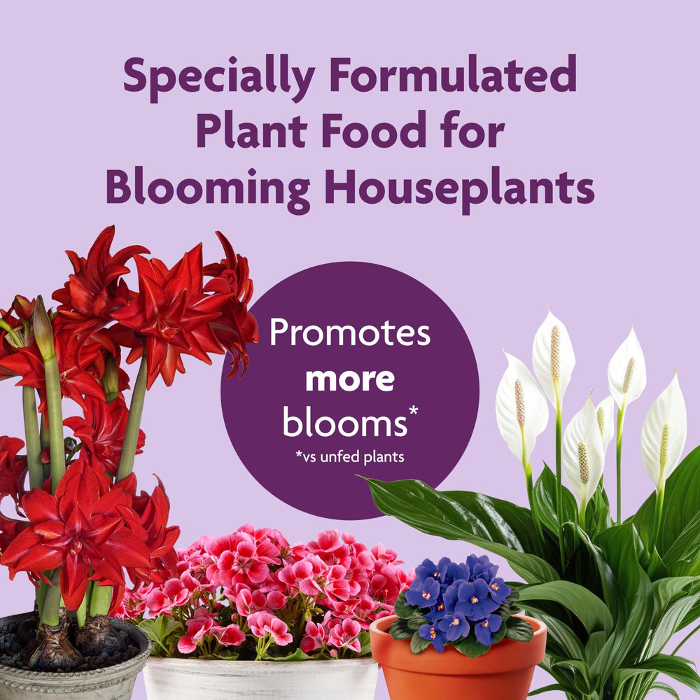 Miracle-Gro Blooming Houseplant Food being applied to a plant