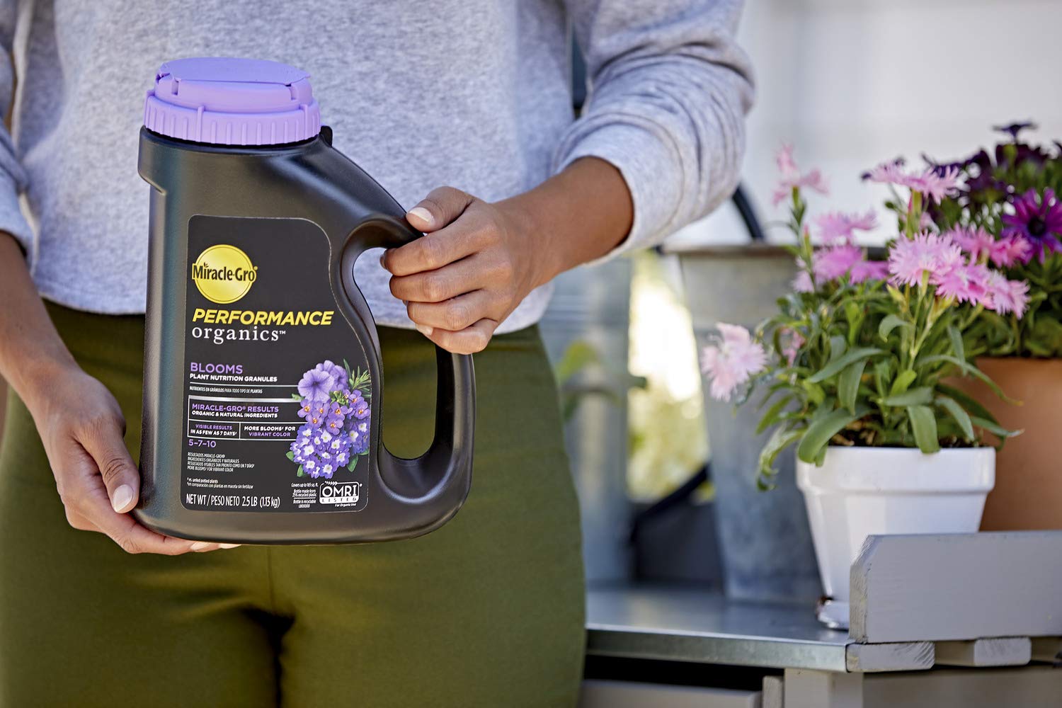 Miracle-Gro Blooms Granules being applied around flowering plants
