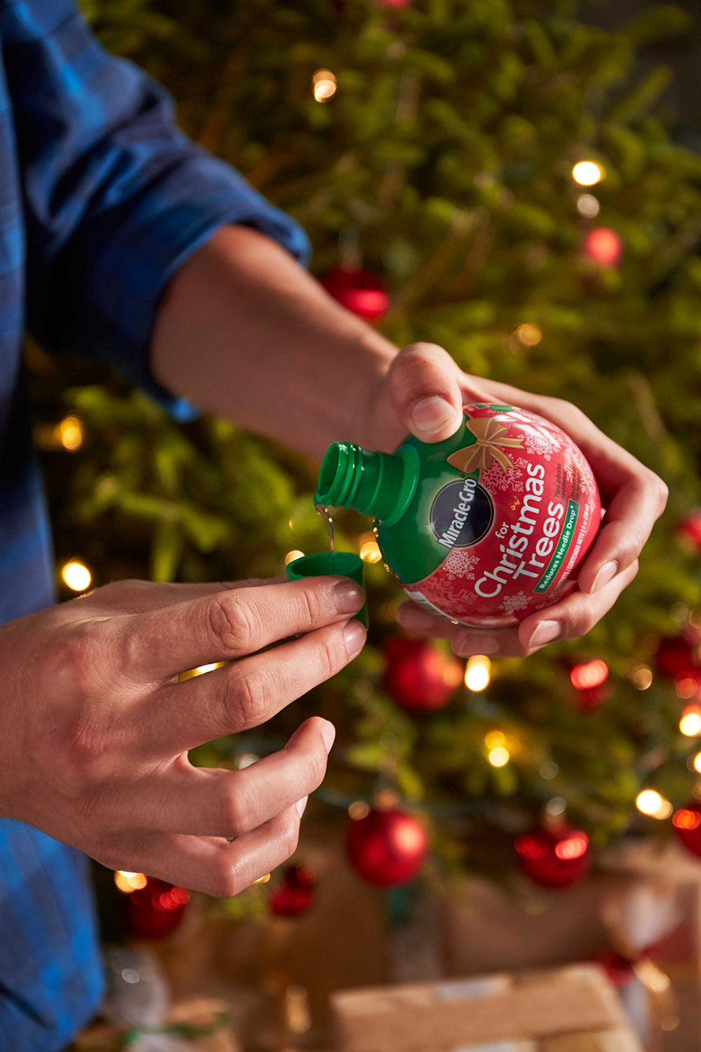 Miracle-Gro for Christmas Trees usage instructions on back