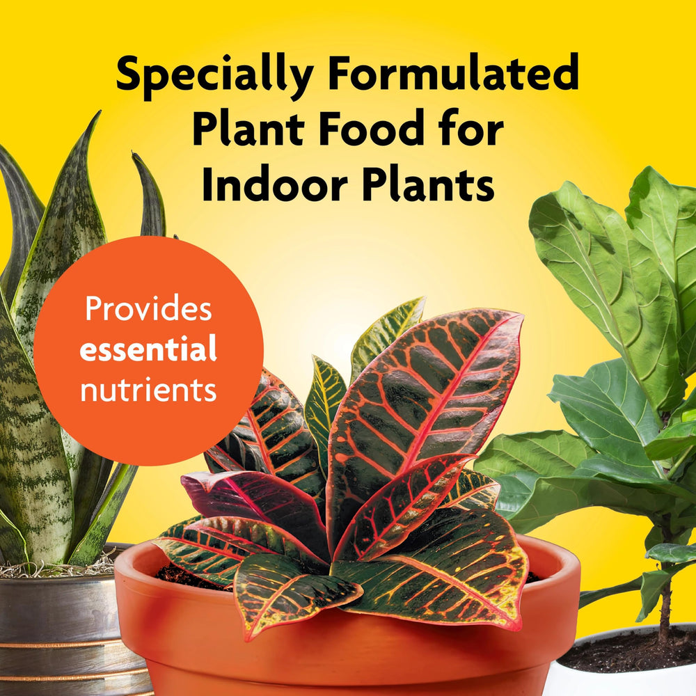 Miracle-Gro Indoor Plant Food 3 pack arrangement