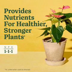 Miracle-Gro Indoor Plant Food application instructions
