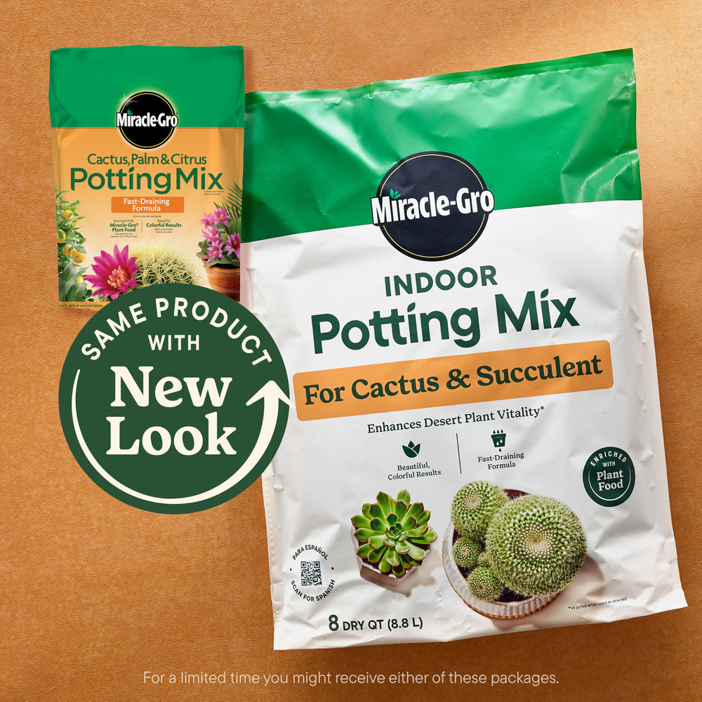 Miracle-Gro Indoor Plant Food application on succulent soil