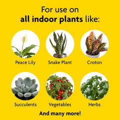 Miracle-Gro Indoor Plant Food application with watering can