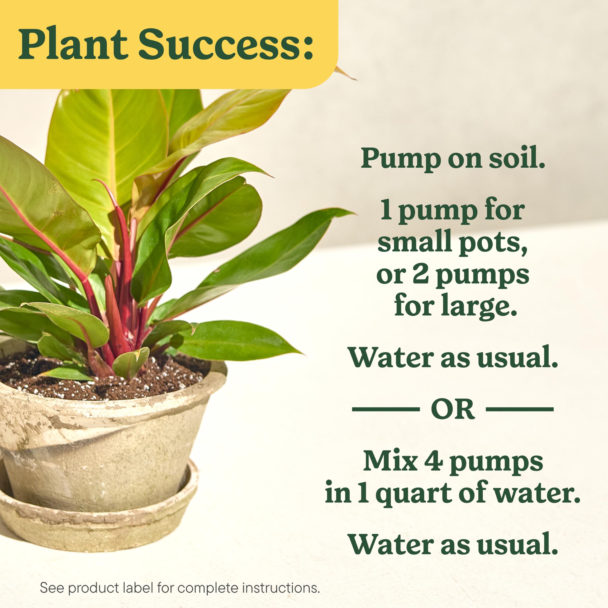 Miracle-Gro Indoor Plant Food in use with houseplants