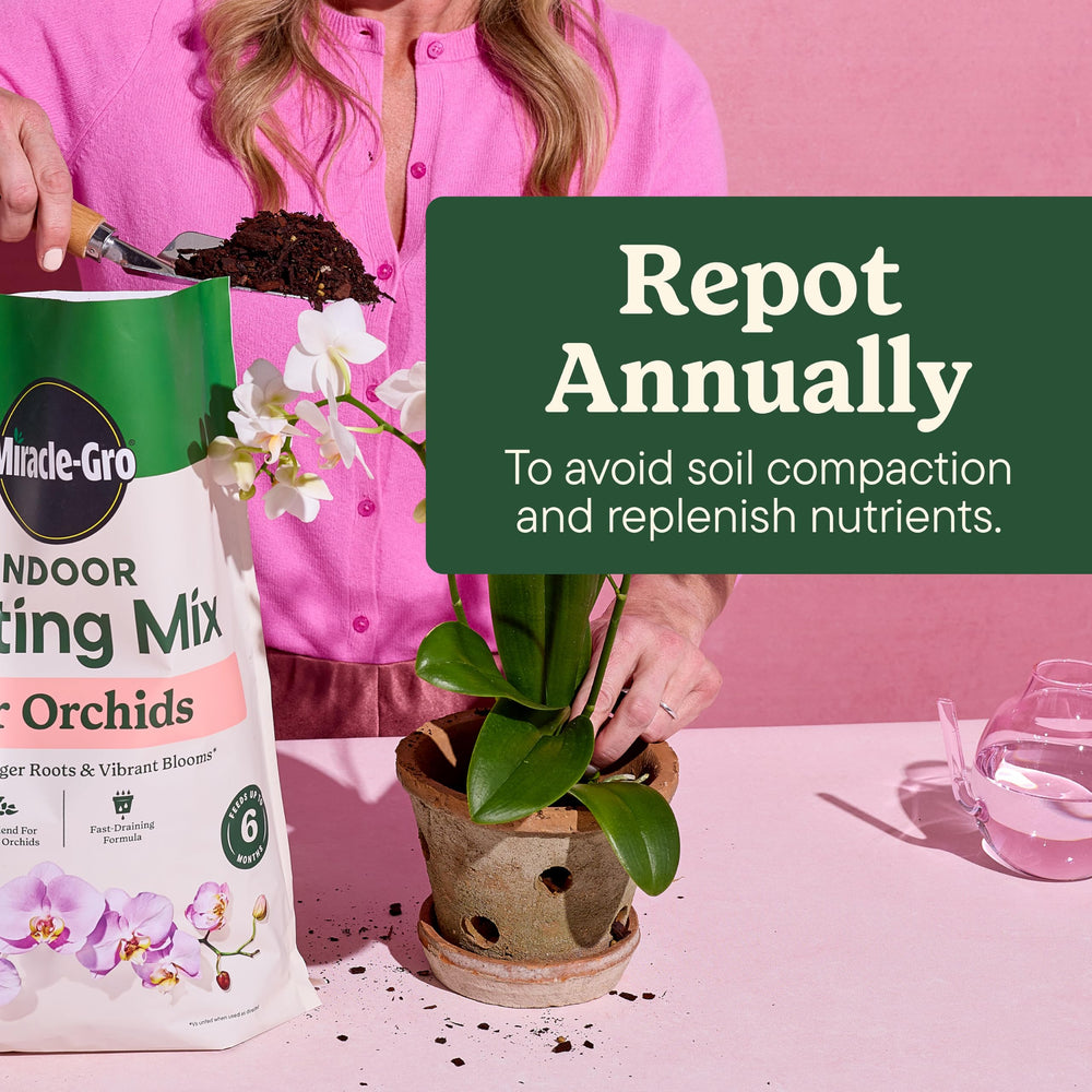 Miracle-Gro Indoor Plant Food Mist for Orchids alongside potting mix