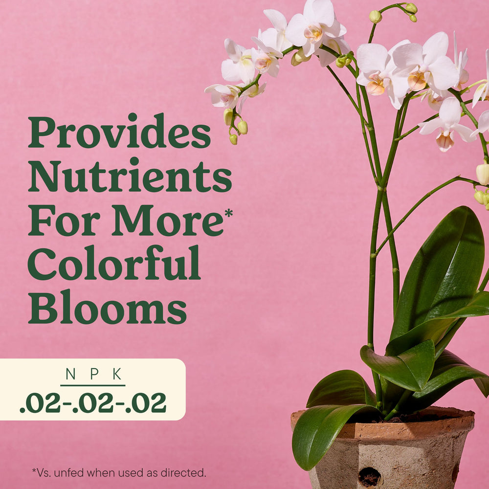 Miracle-Gro Indoor Plant Food Mist for Orchids on a table