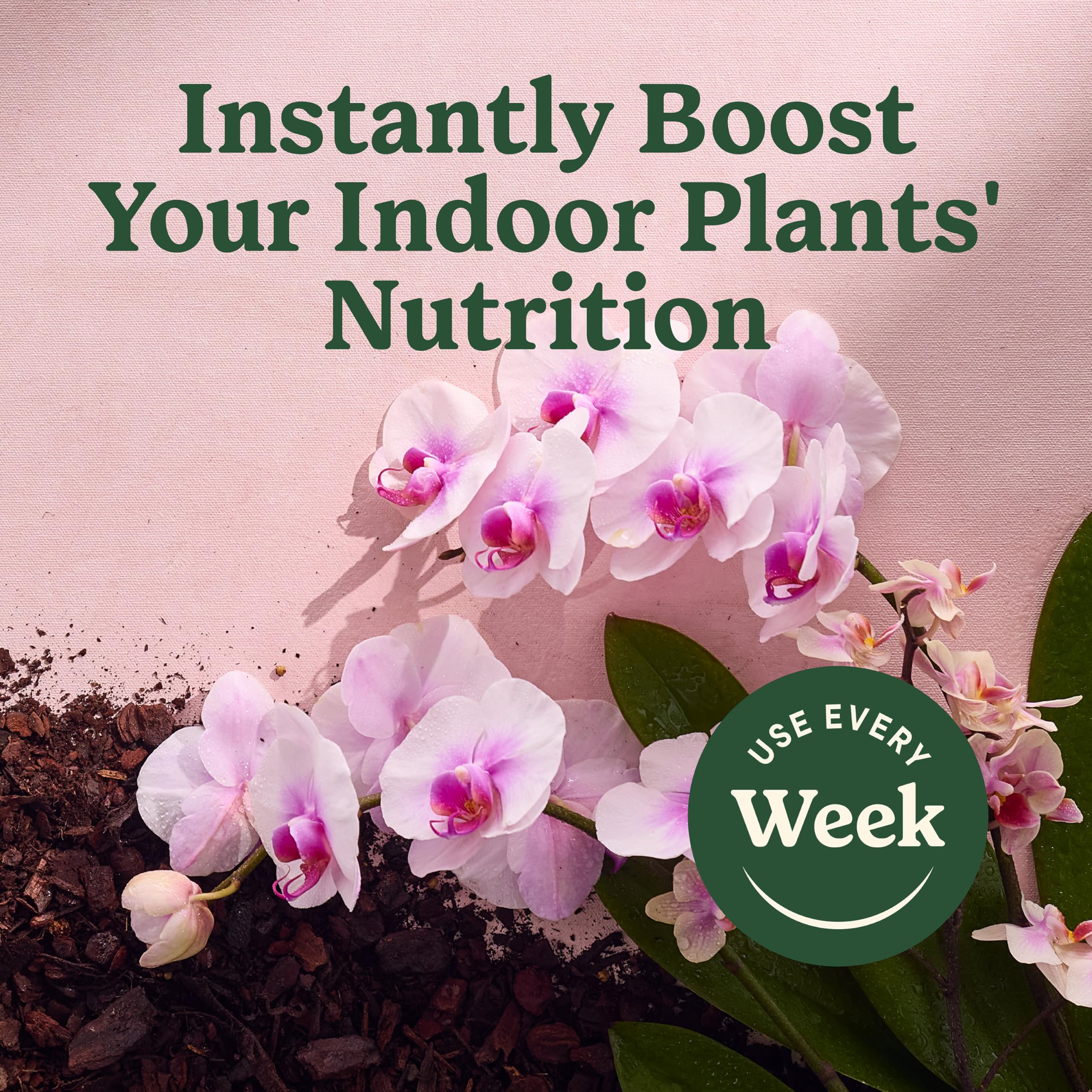 Miracle-Gro Indoor Plant Food Mist for Orchids with orchid flowers