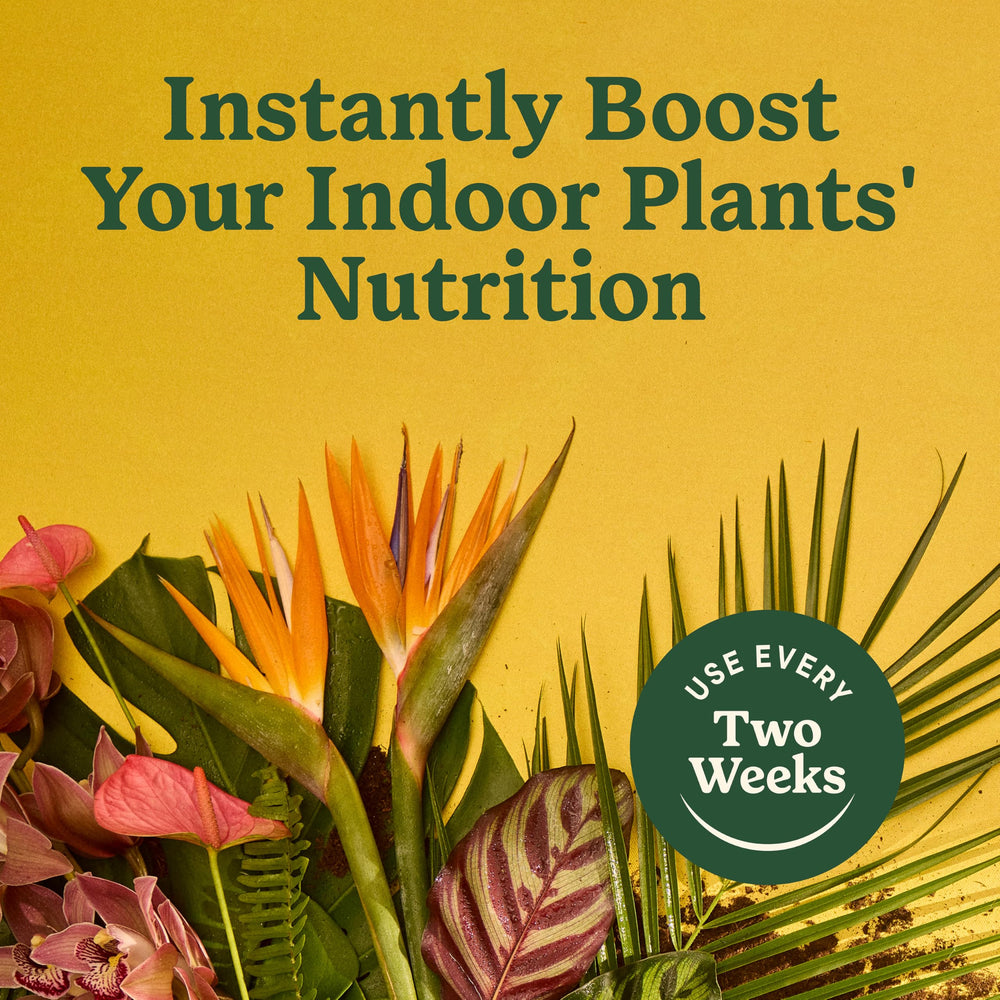 Miracle-Gro Indoor Plant Food nutrient ingredients