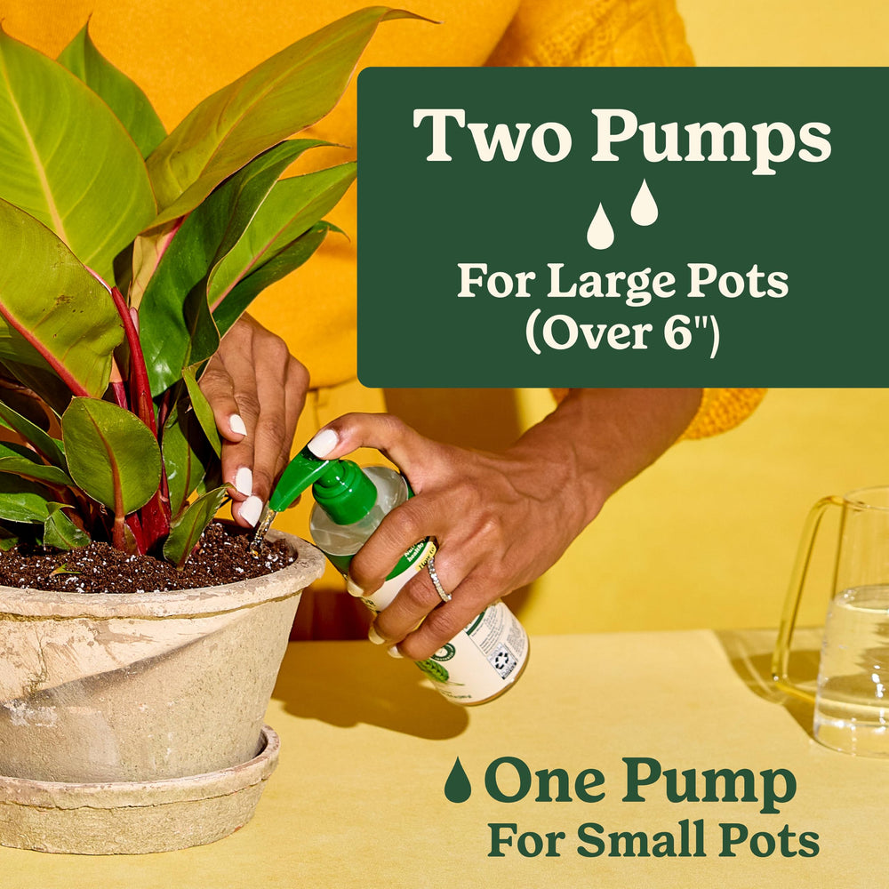 Miracle-Gro Indoor Plant Food packaging display