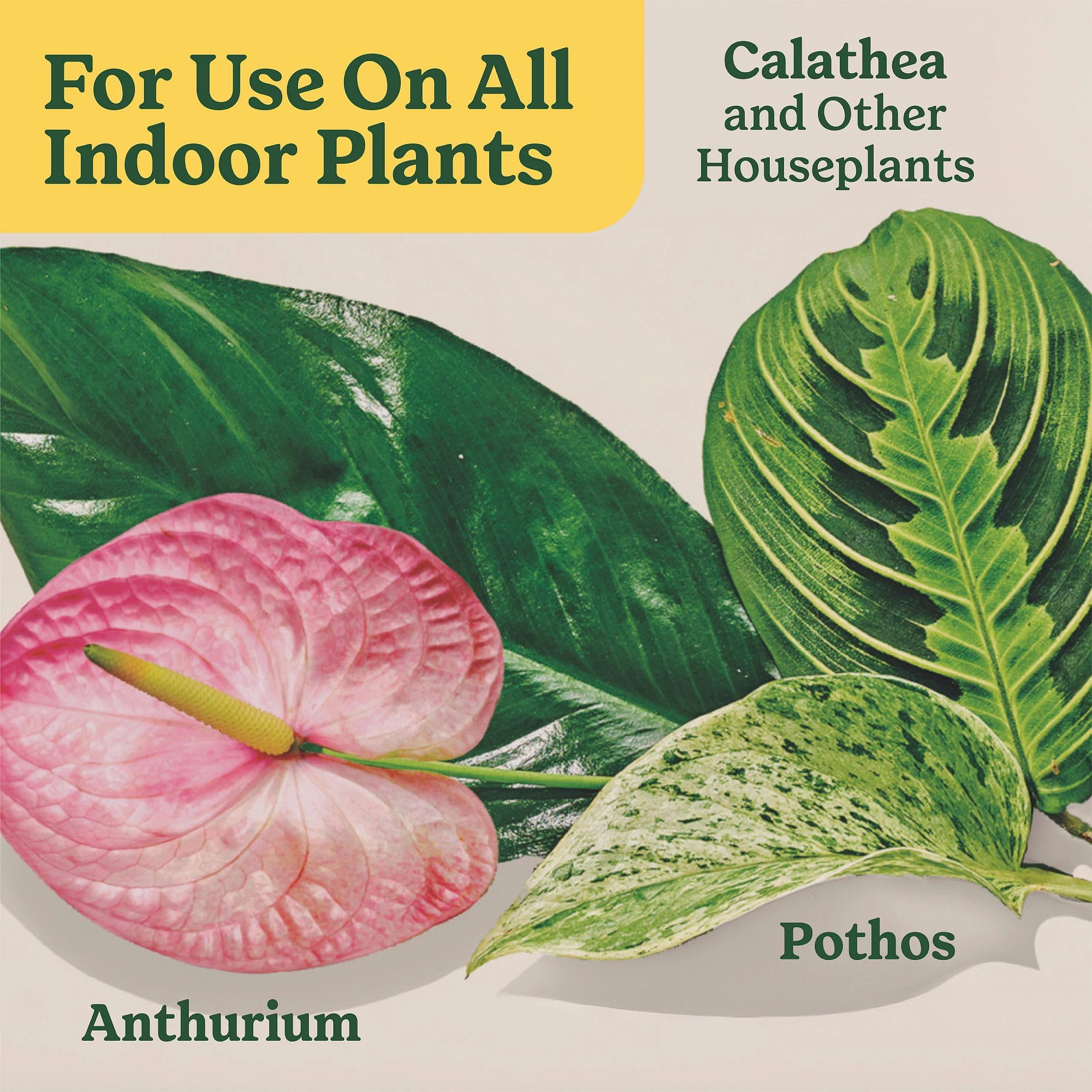 Miracle-Gro Indoor Plant Food Spikes and Indoor Potting Mix on a table
