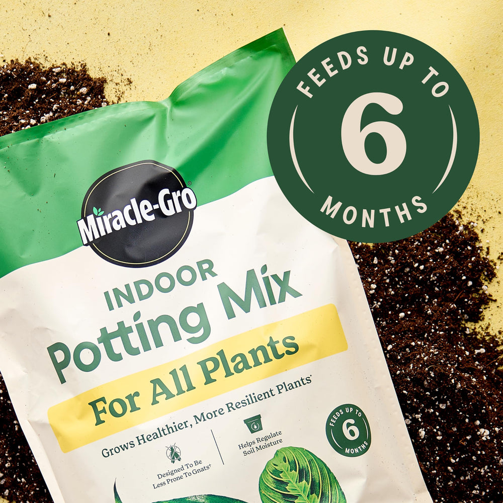 Miracle-Gro Indoor Potting Mix being poured into a container