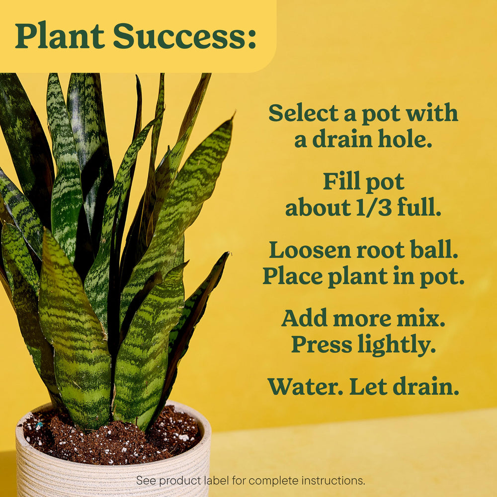 Miracle-Gro Indoor Potting Mix with herbs in a kitchen setting