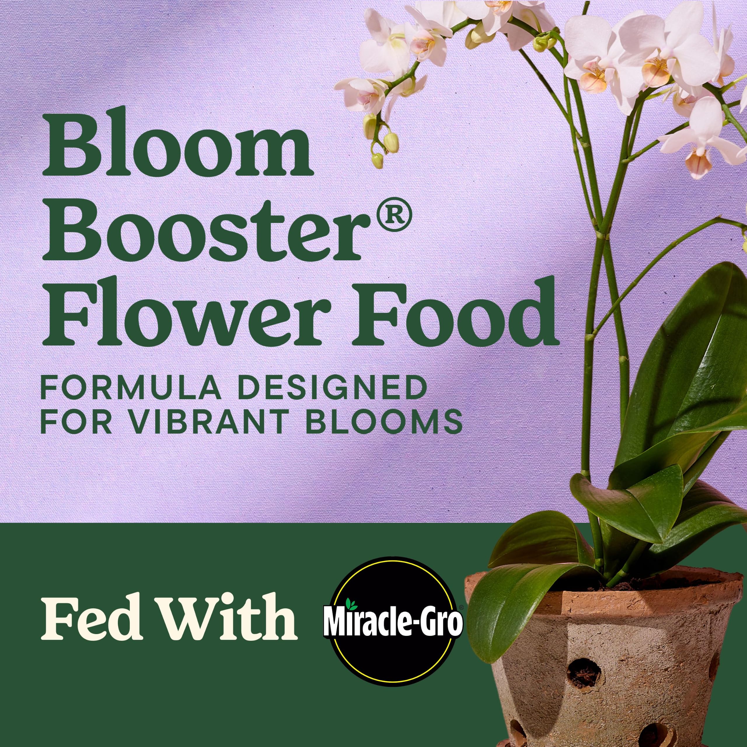Miracle-Gro LiquaFeed Bloom support Flower Food 16 fl oz back view