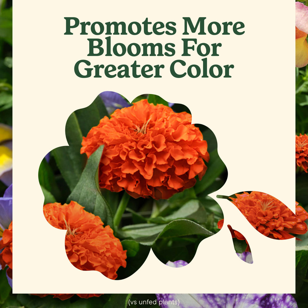 Miracle-Gro LiquaFeed Bloom support Flower Food close-up of label