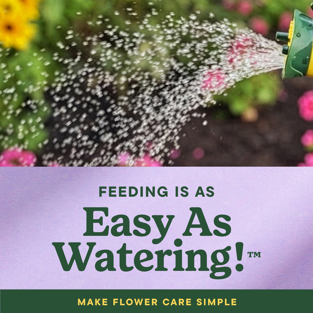 Miracle-Gro LiquaFeed Bloom support Flower Food two bottles side by side