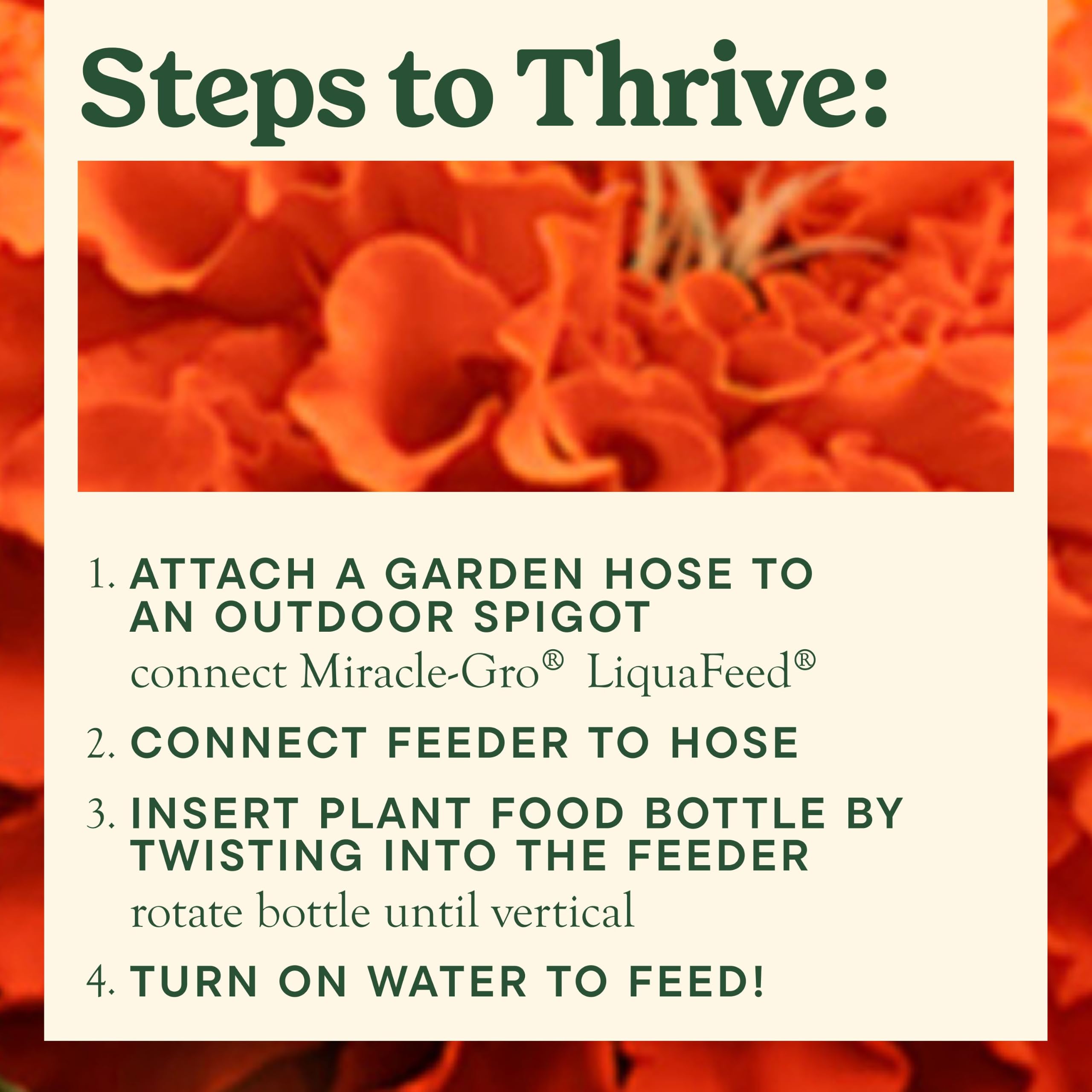 Miracle-Gro LiquaFeed Bloom support Flower Food with feeder