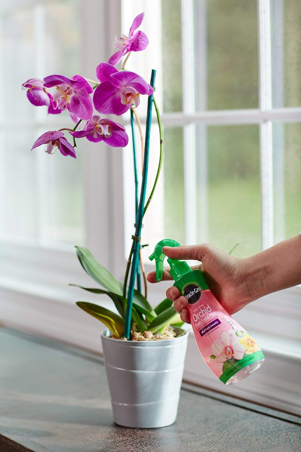 Miracle-Gro Orchid Plant Food Mist packaging showing multiple bottles