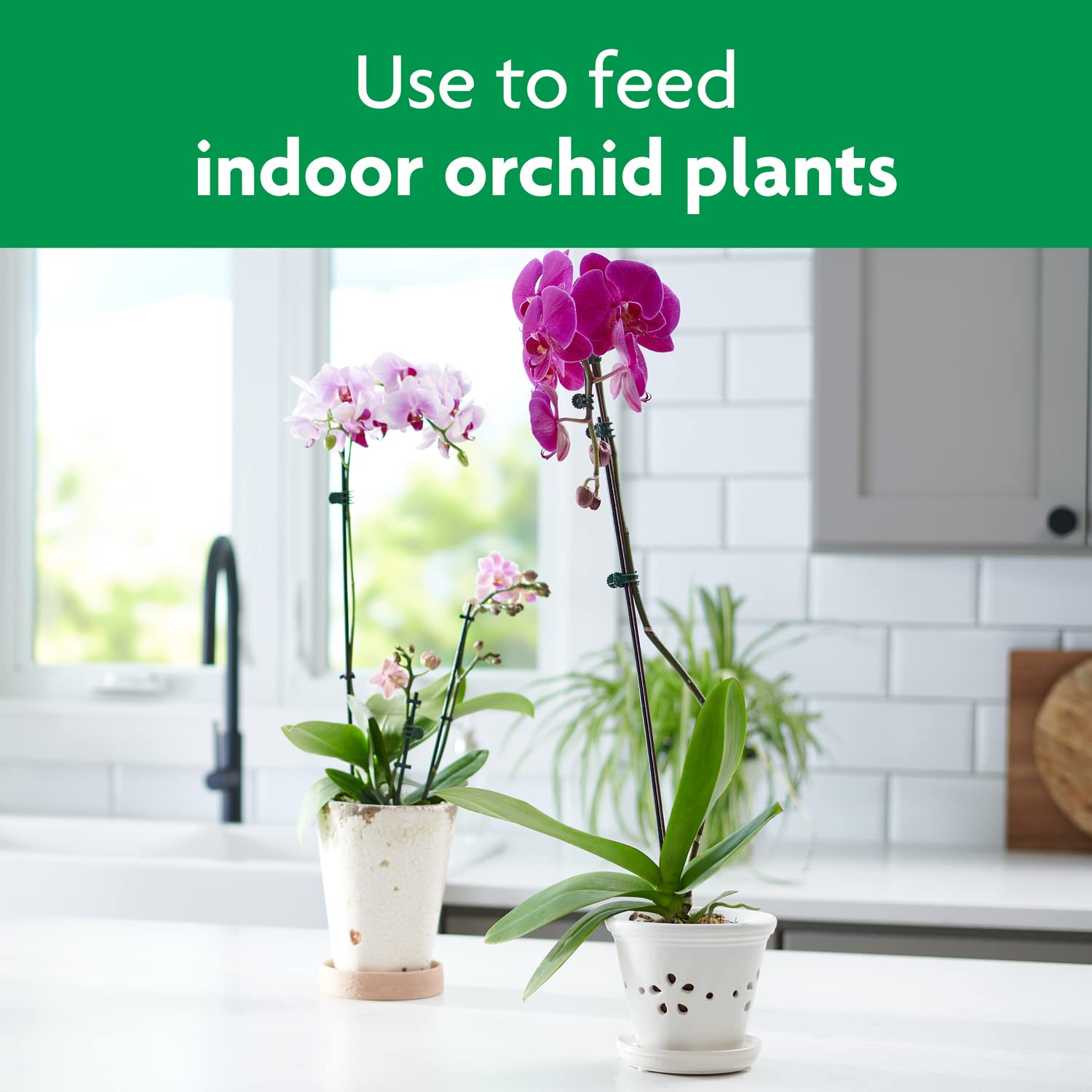 Miracle-Gro Orchid Plant Food Mist side view