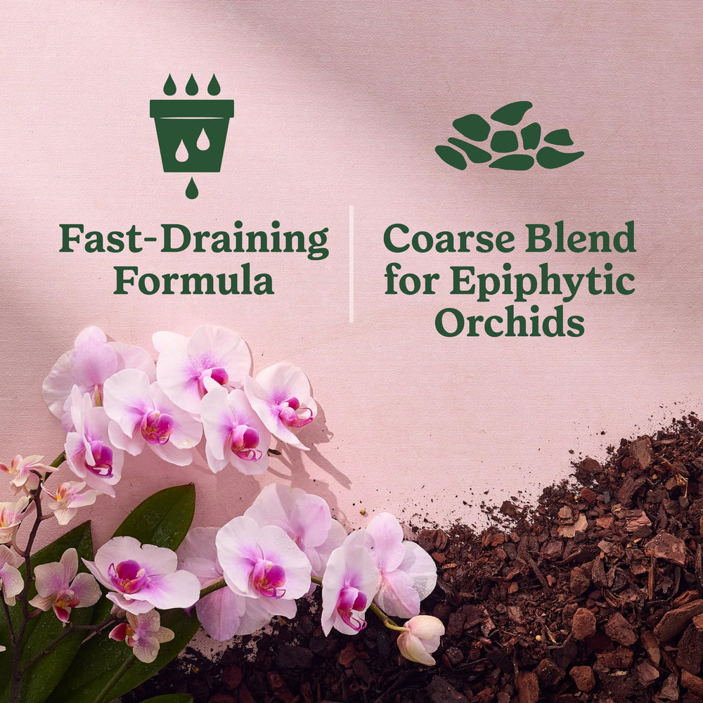 Miracle-Gro Orchid Potting Mix used in a gardening setup