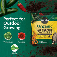Miracle-Gro Organic All Purpose Plant Food 2-Pack side view