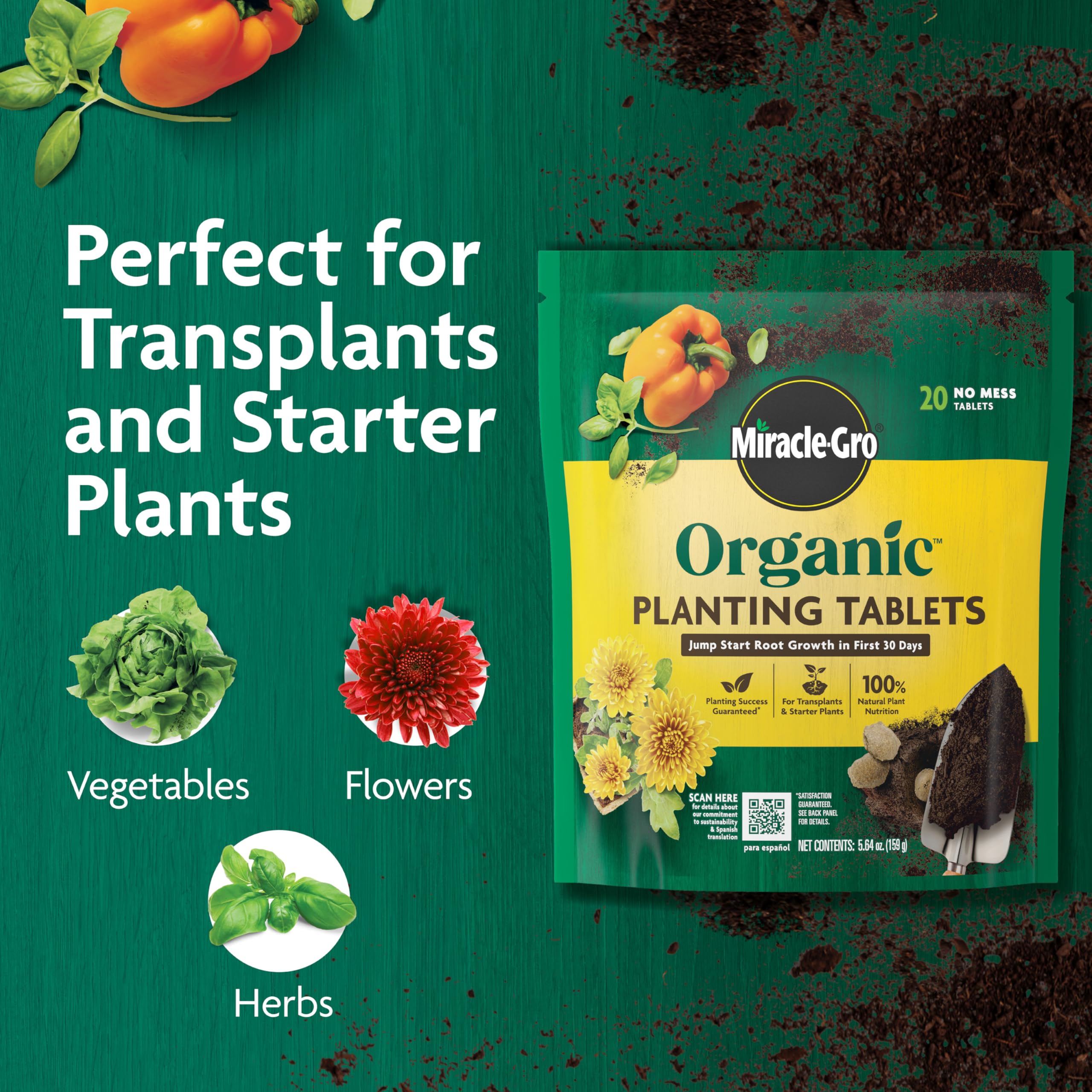 Miracle-Gro Organic Planting Tablets being placed in a planting hole