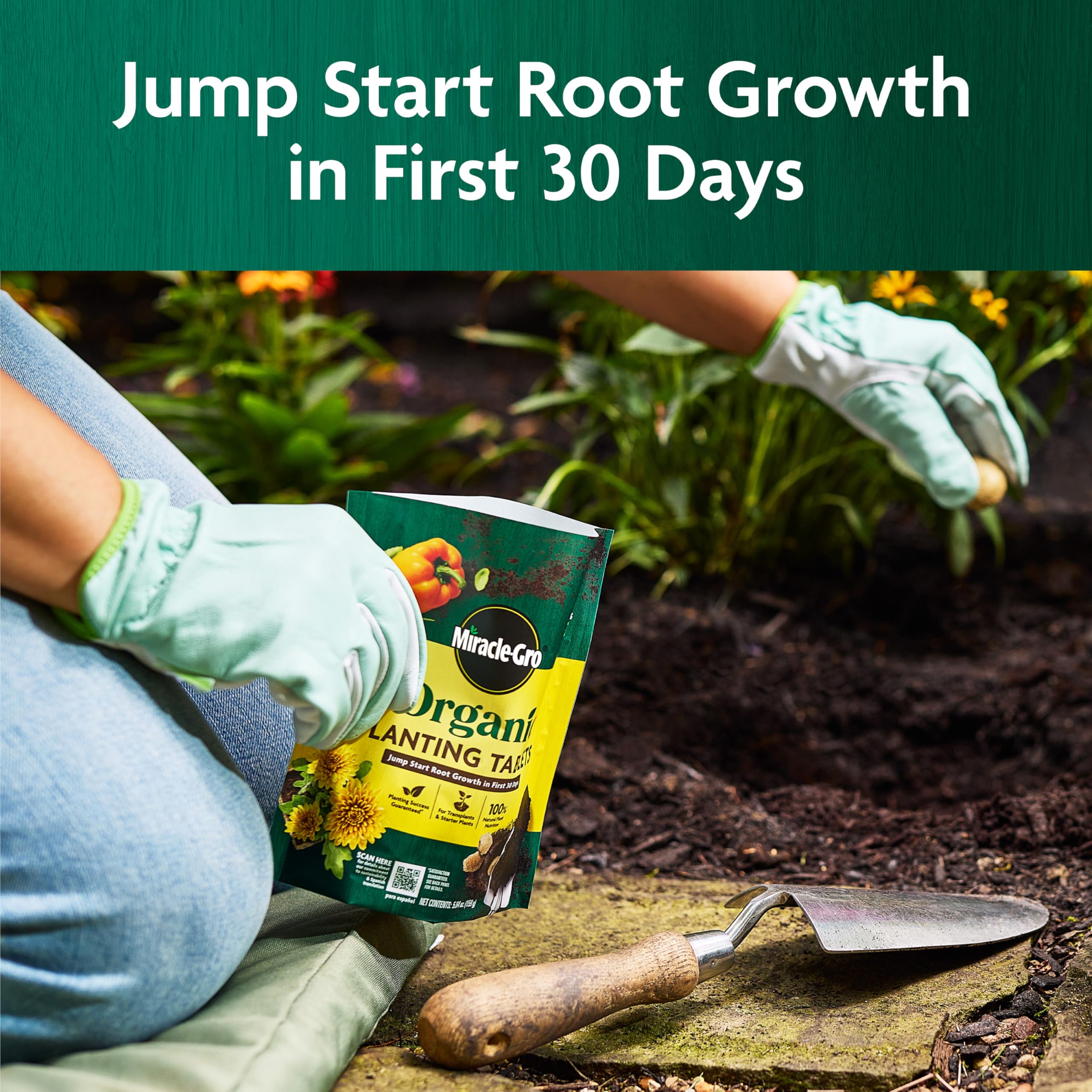 Miracle-Gro Organic Planting Tablets displayed with gardening tools