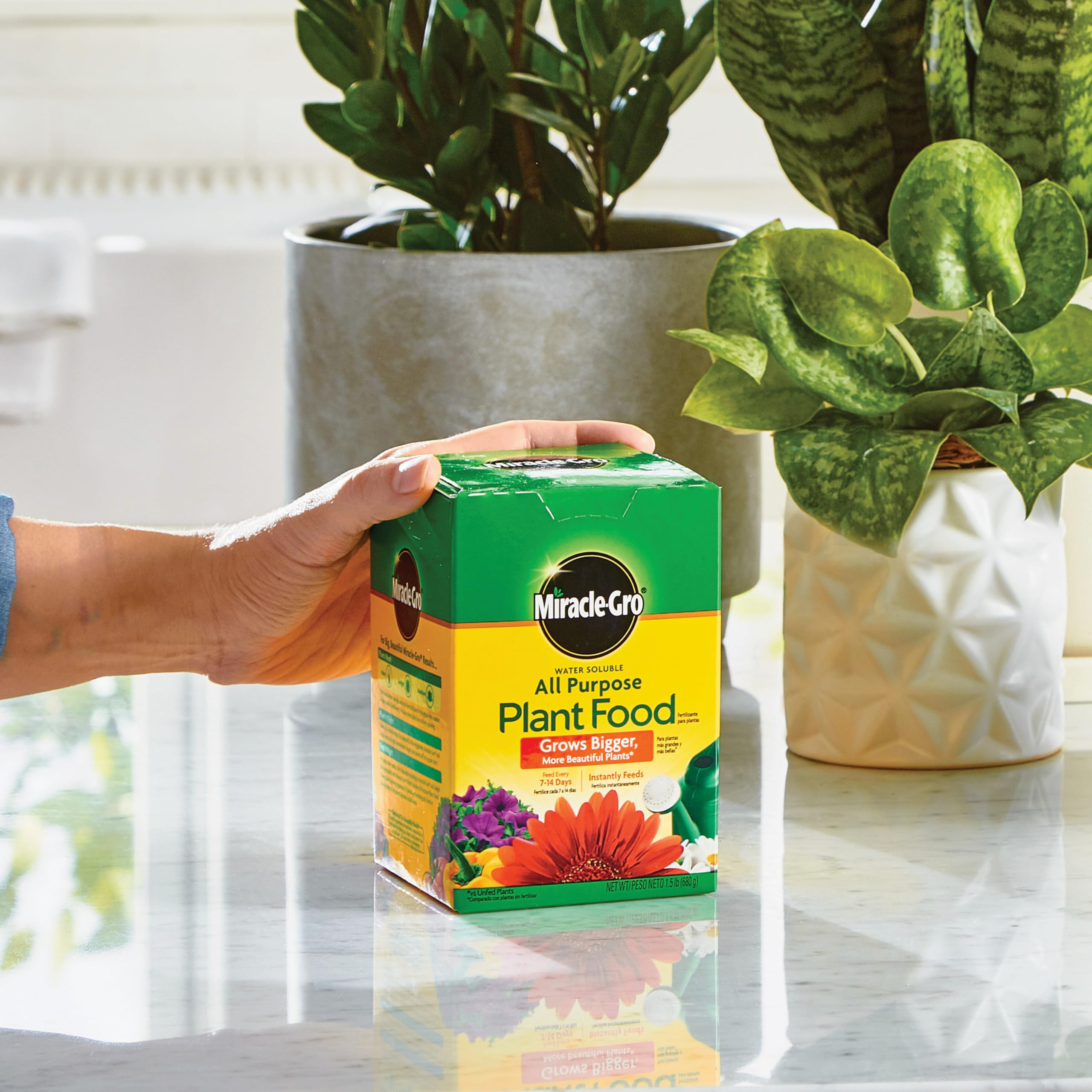 Miracle-Gro plant food application instructions on packaging
