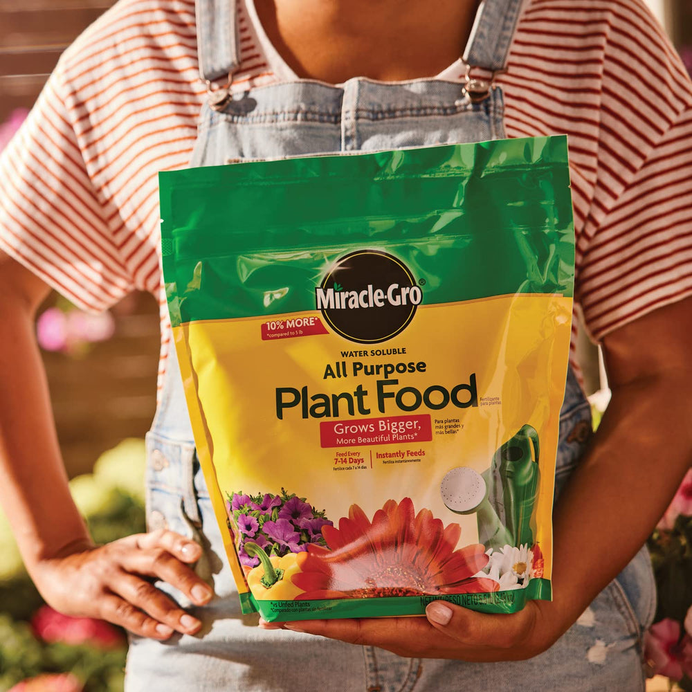 Miracle-Gro plant food application using watering can