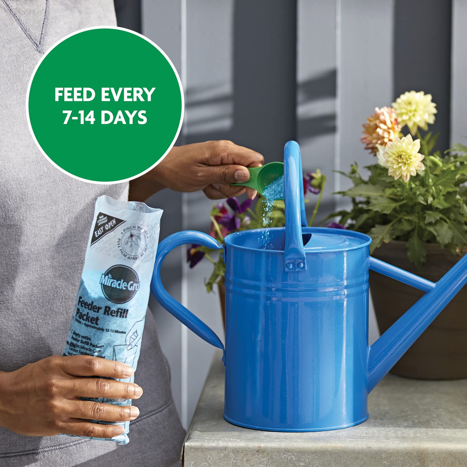 Miracle-Gro plant food container next to potted houseplants