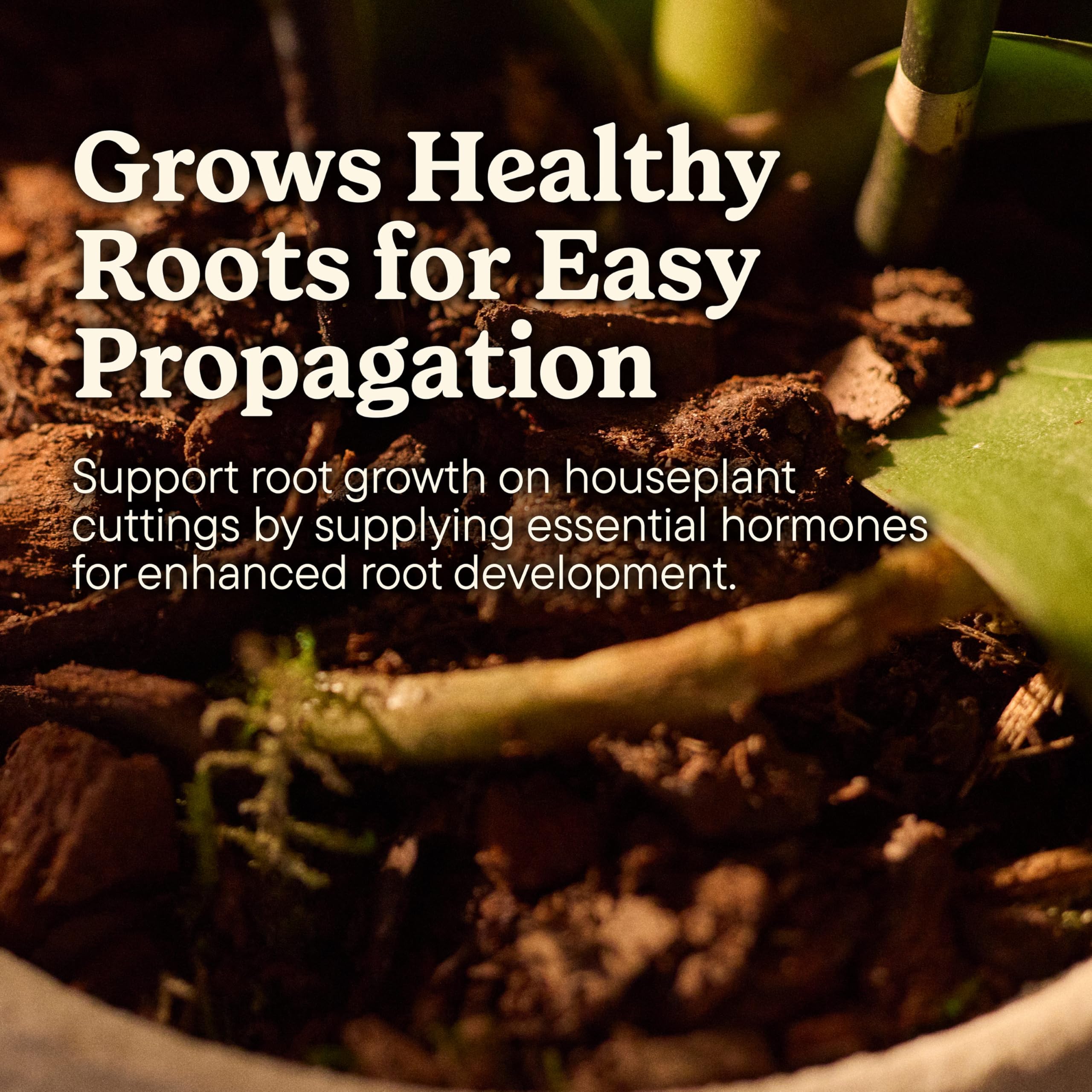Miracle-Gro Root Starter Gel in a gardening setting