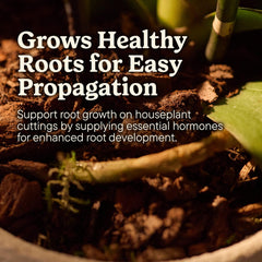 Miracle-Gro Root Starter Gel in a gardening setting