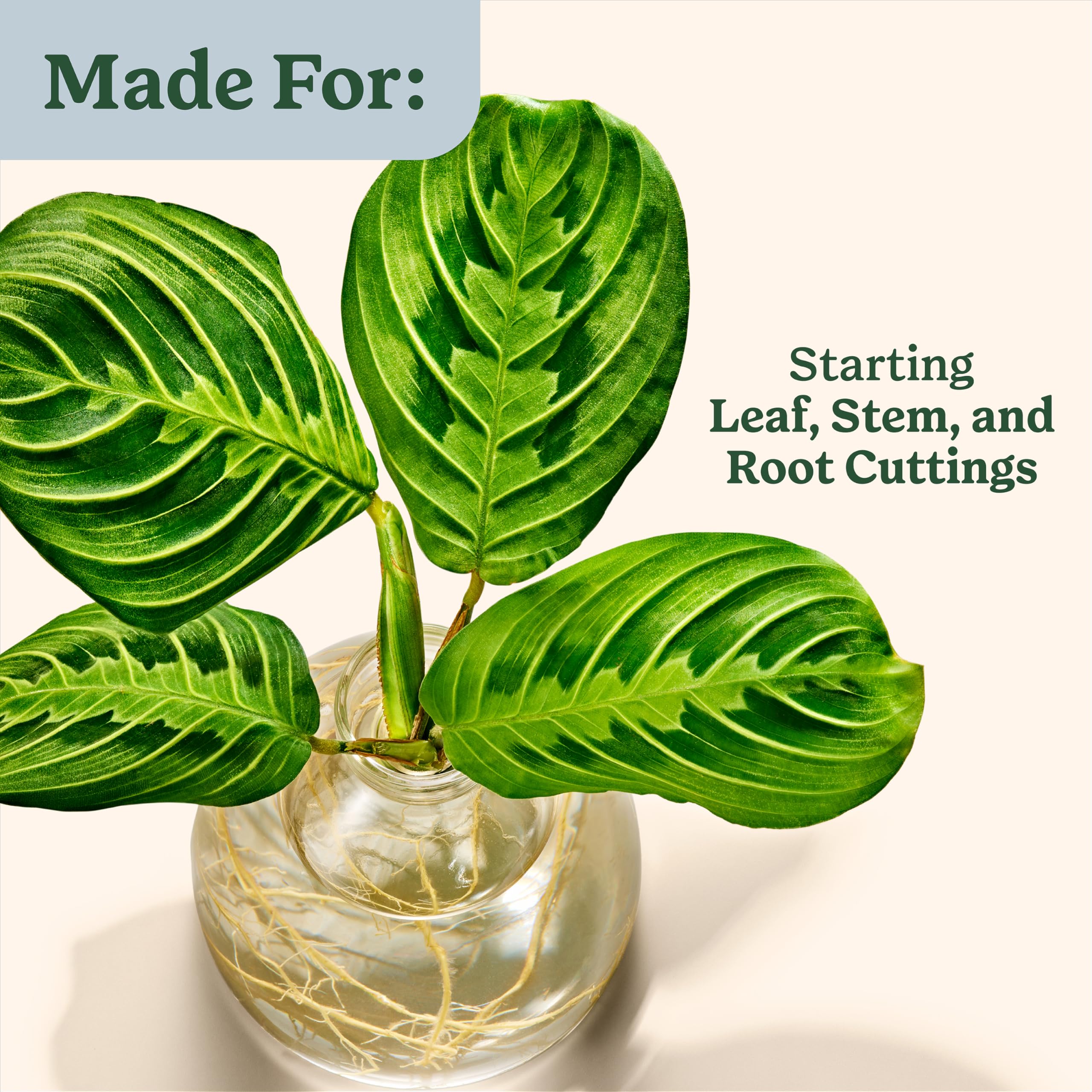 Miracle-Gro Root Starter Gel packaging and contents overview