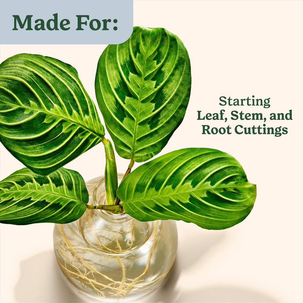 Miracle-Gro Root Starter Gel packaging and contents overview