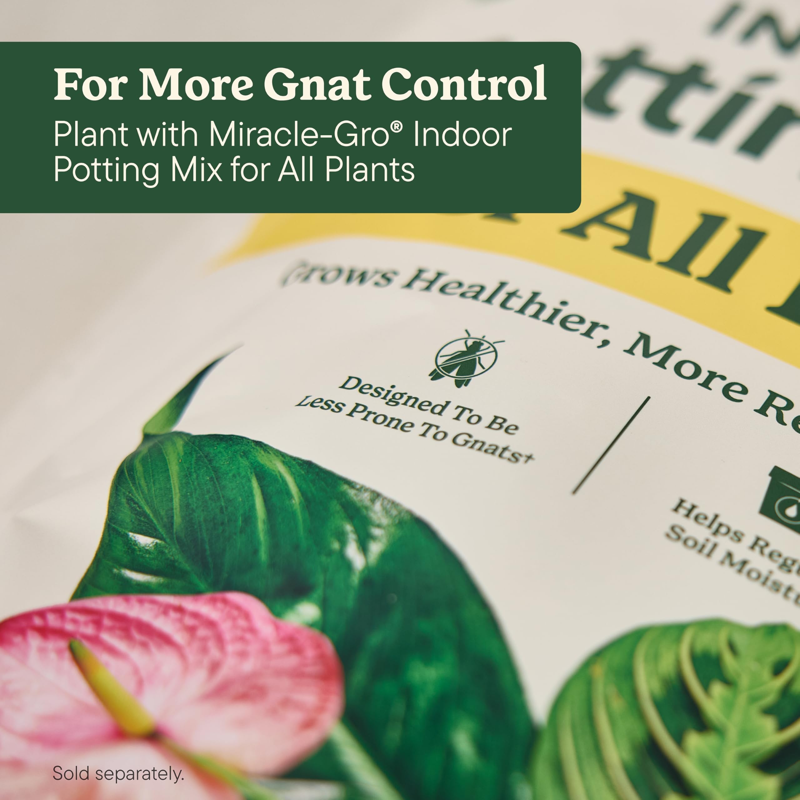 Miracle-Gro Root Starter Gel with various houseplants