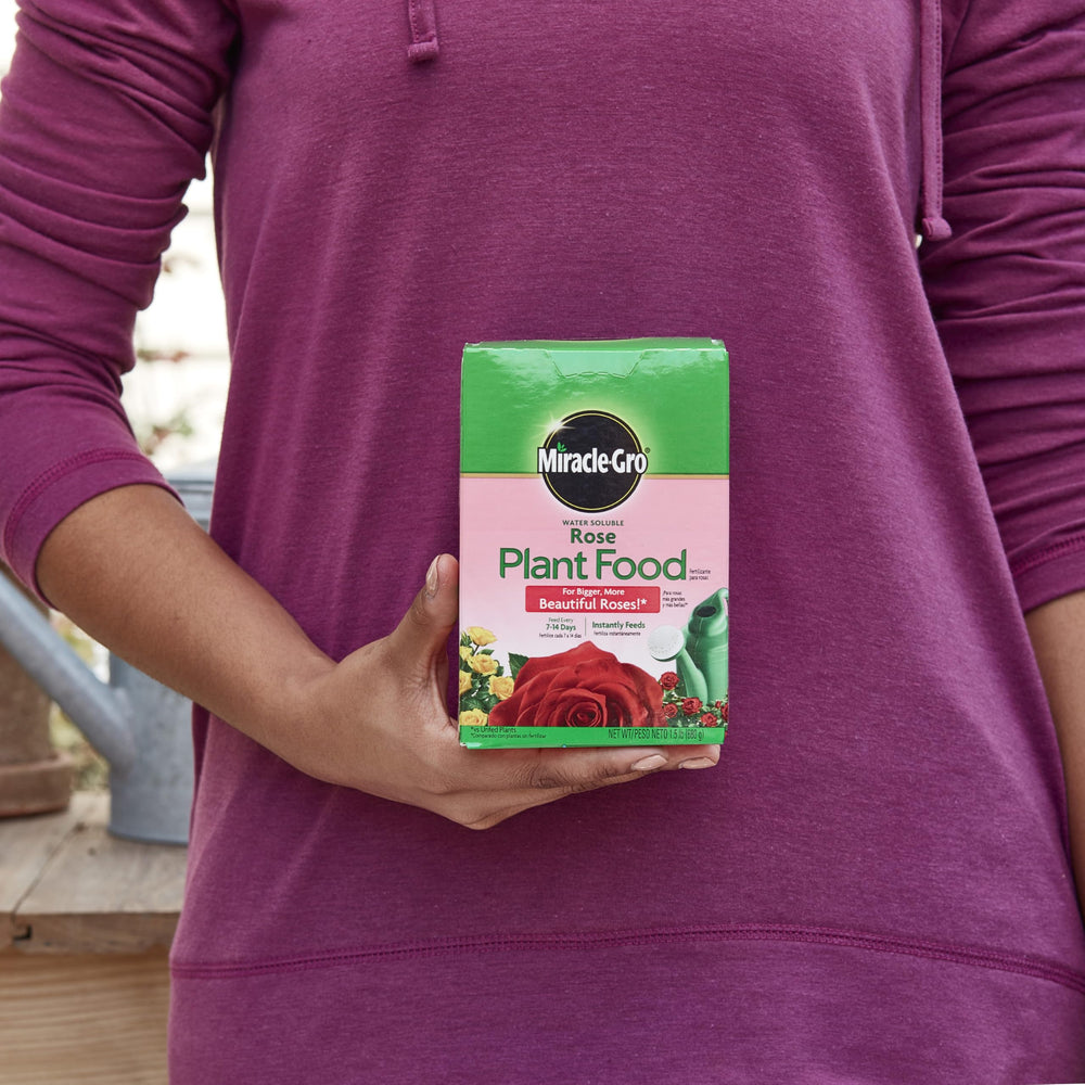 Miracle-Gro Rose Plant Food in packaging with dimensions