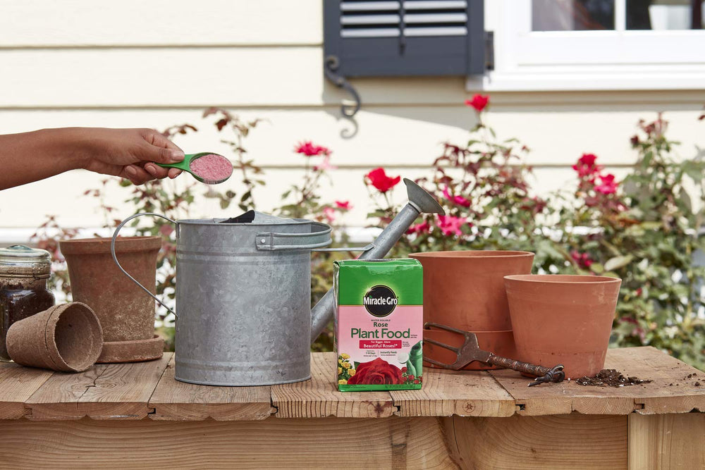 Miracle-Gro Rose Plant Food with watering can