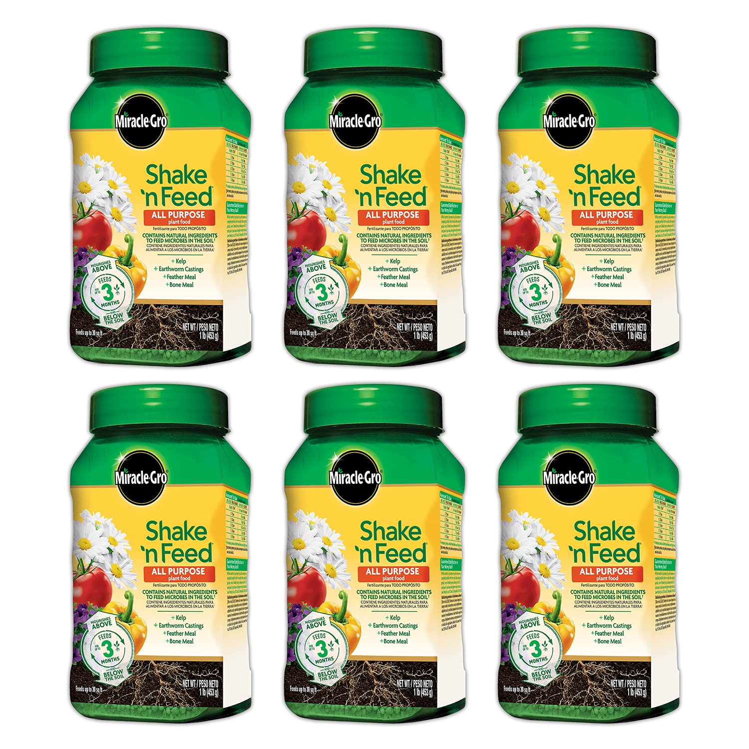 Miracle-Gro Shake 'N Feed All Purpose Plant Food 1 lb pack front view