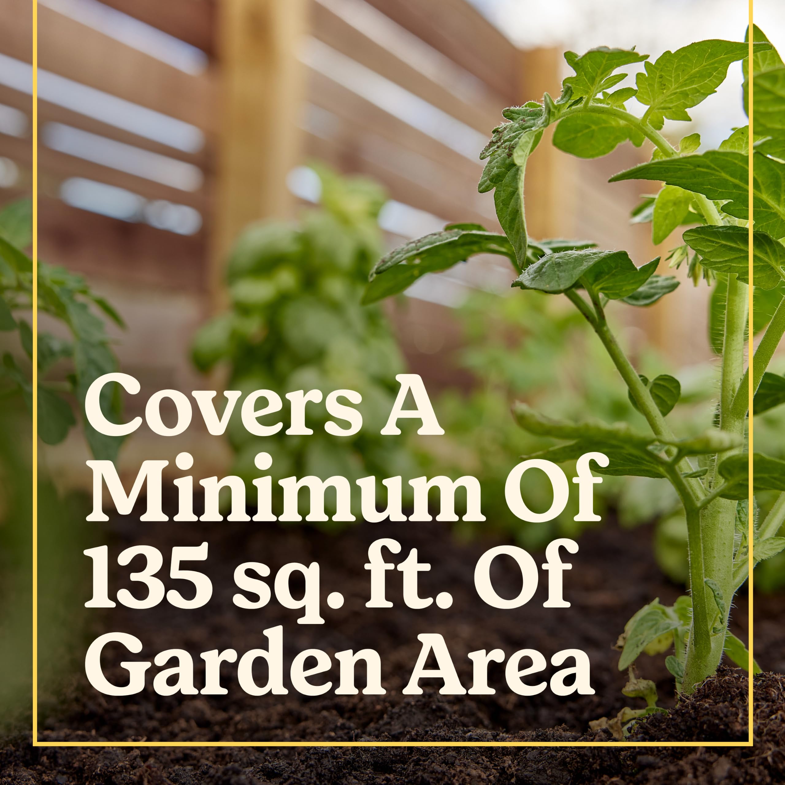 Miracle-Gro Shake 'N Feed application instructions