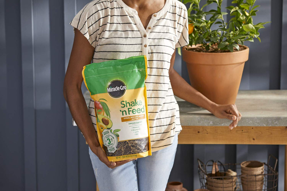 Miracle-Gro Shake 'N Feed Citrus Plant Food in garden setting