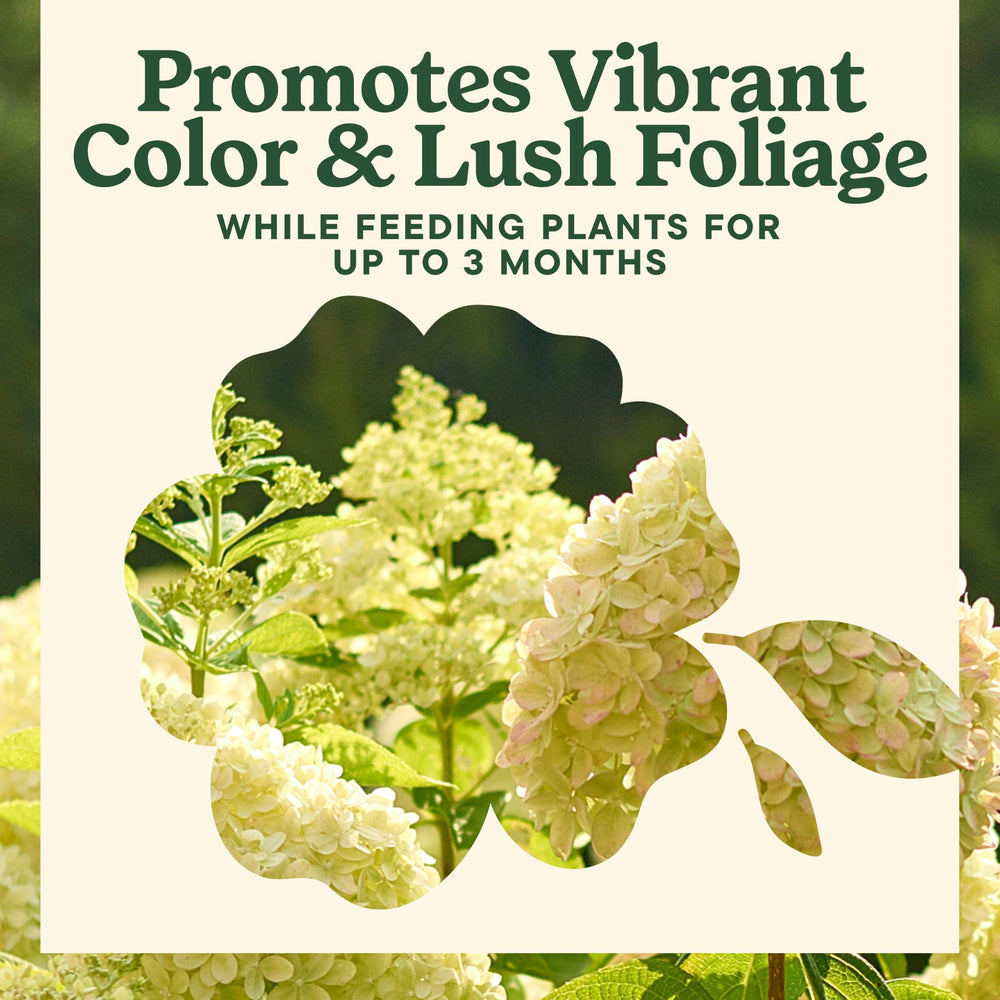 Miracle-Gro Shake 'N Feed Flowering Trees & Shrubs Plant Food application on soil