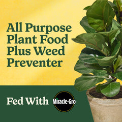 Miracle-Gro Shake 'N Feed granules close-up